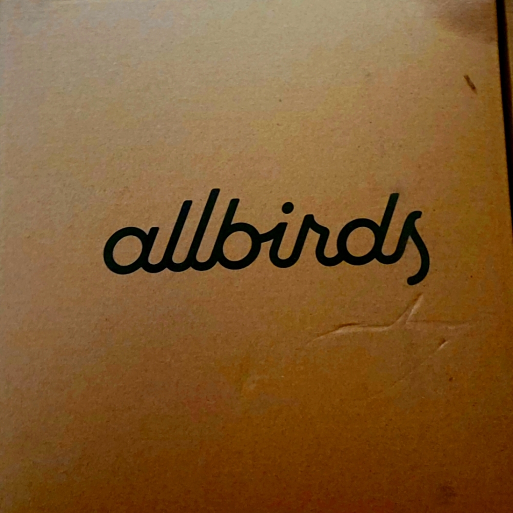 Women's Allbirds size 10 color blueberry sneakers